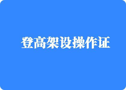 我爱操逼网登高架设操作证